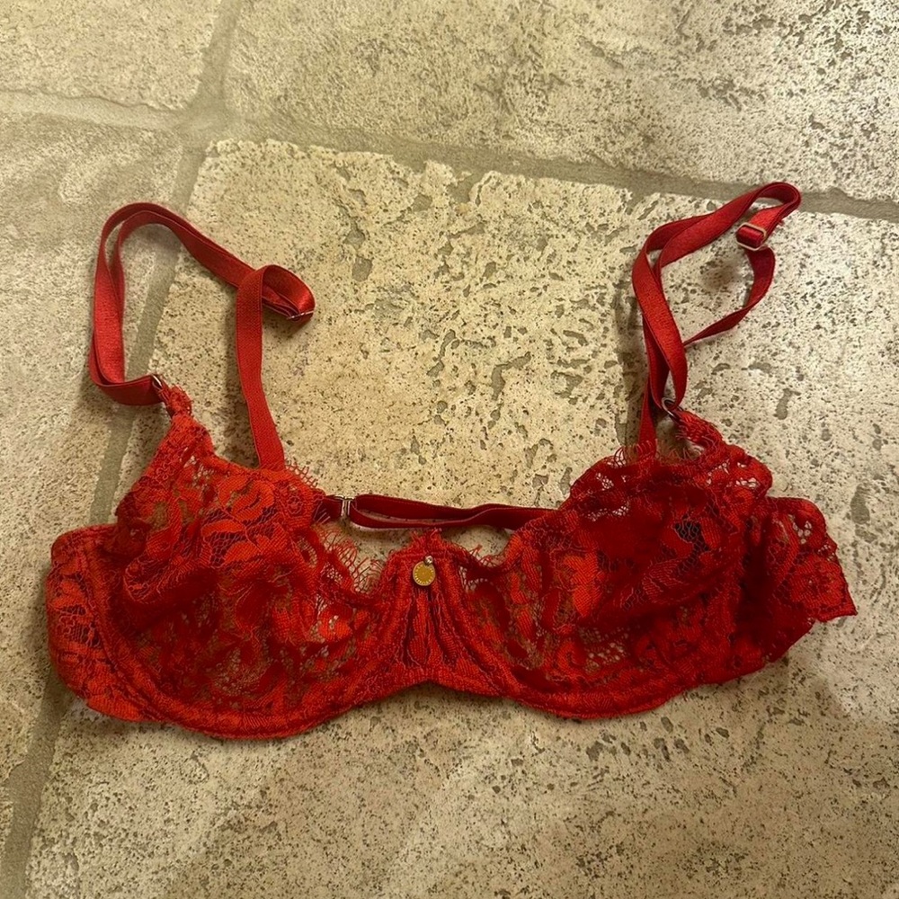Gooseberry intimates bra